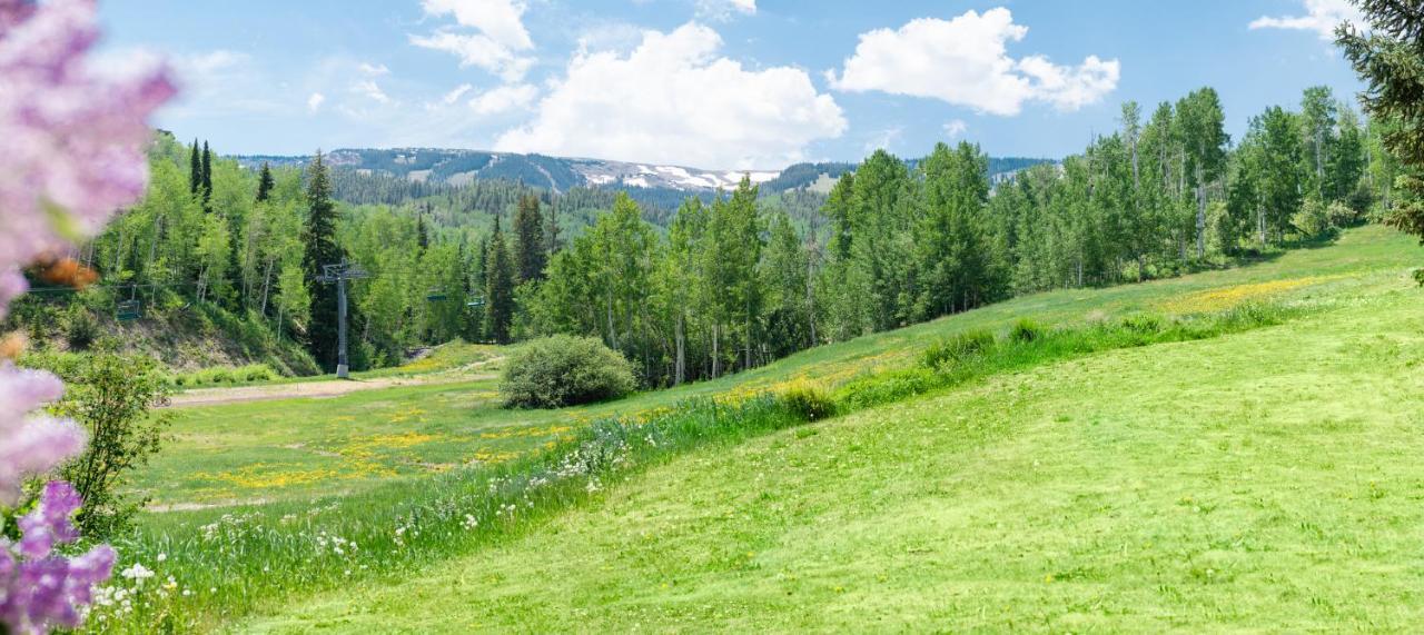 Laurelwood Condominiums 202 Snowmass Village Buitenkant foto